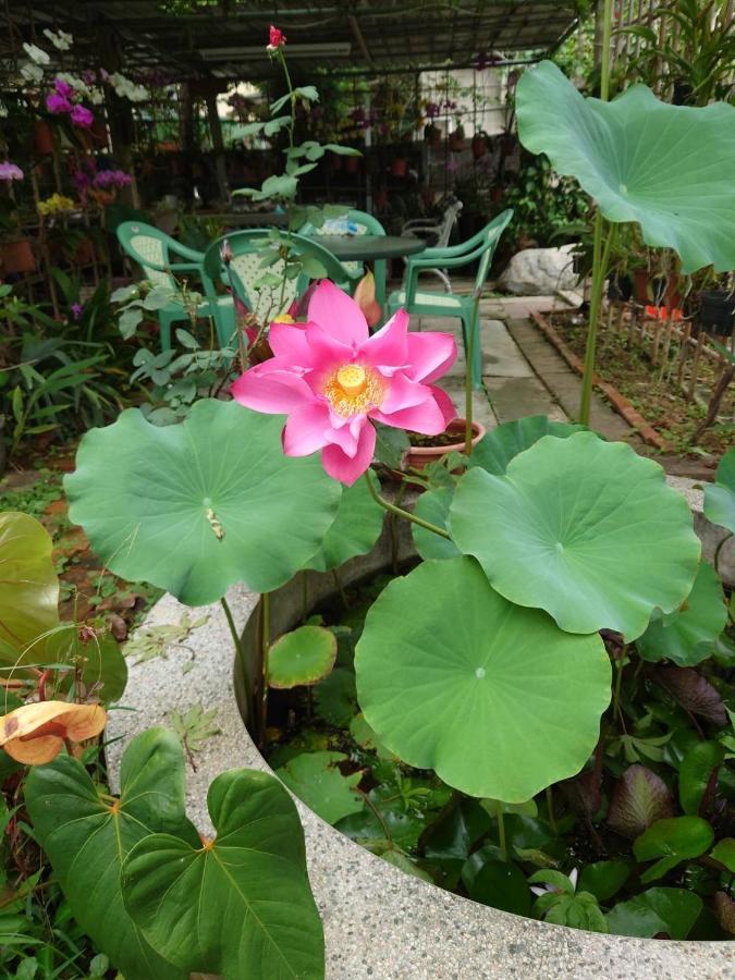 Garden Hostel Minxiong Exterior photo