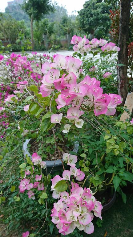 Garden Hostel Minxiong Exterior photo